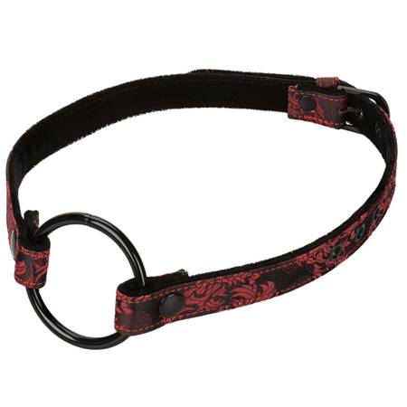 CalExotics Scandal Open Mouth Gag